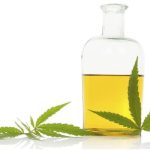 Is CBD Oil Safe For Dogs