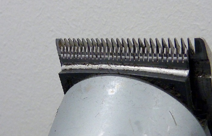Blades 
