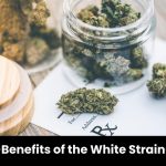 Benefits of the White Strain