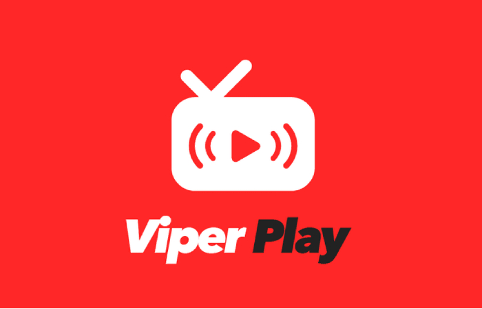 Alternative Streaming Services of Viper Play Net Soccer
