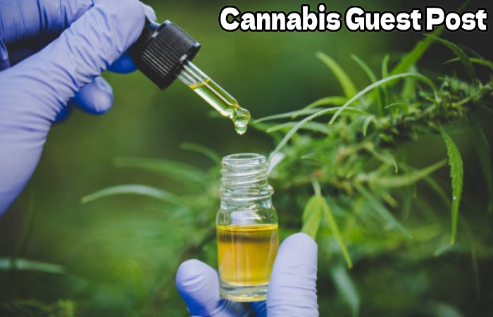 Cannabis Guest Post