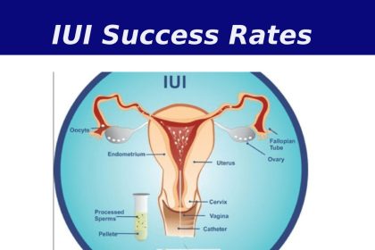 IUI Success Rates