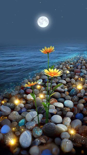Latest Good Night Images with Messages_Wishes for 2025