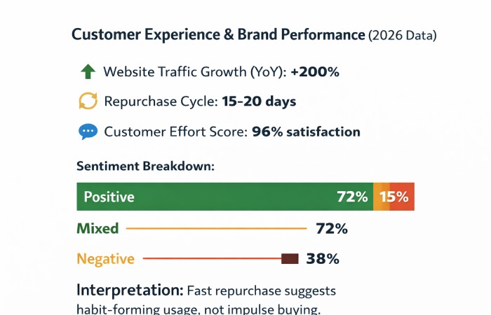 Customer Experience & Brand Performance